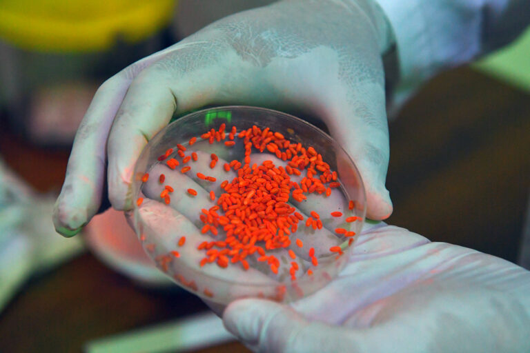 Quality control testing of orange plastic pellets in a lab setting